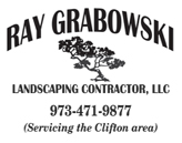 image-779449-ray-grabowski.jpg
